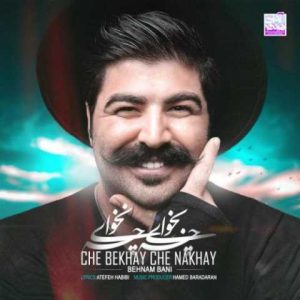 دانلود آهنگ بهنام بانی چی بخوای چی نخوای