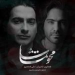 دانلود آهنگ همایون شجریان و علی قمصری محو تماشا