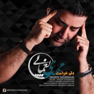 دانلود آهنگ مهدی یغمایی دلم خواست