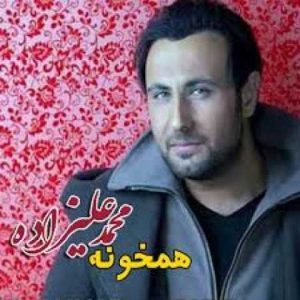 دانلود آهنگ محمد علیزاده یادلار (بیکلام)
