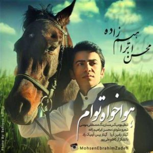 دانلود آهنگ محسن ابراهیم زاده هواخواه توام
