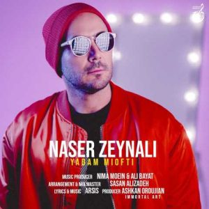 دانلود آهنگ ناصر زینلی یادم میفتی