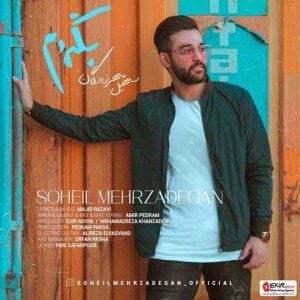 دانلود آهنگ سهیل مهرزادگان بگردم