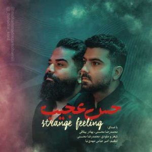 دانلود آهنگ محمدرضا محسنی و بهادر ییلاقی حس عجیب