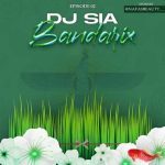 دانلود آهنگ دیجی سیا بندریکس 02