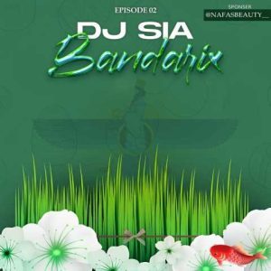 دانلود آهنگ دیجی سیا بندریکس 02