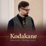 دانلود آهنگ میثم شکری ساز کودکانه