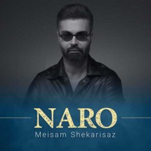 دانلود آهنگ میثم شکری ساز نرو