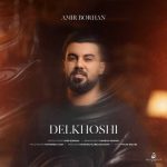 دانلود آهنگ امیر برهان دلخوشی