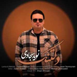 دانلود آهنگ نوید سجادی دلتنگ