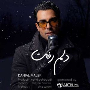 دانلود آهنگ دانیال ملک دلم رفت
