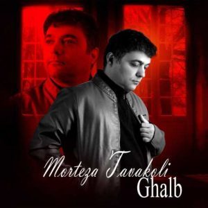 دانلود آهنگ مرتضی توکلی قلب