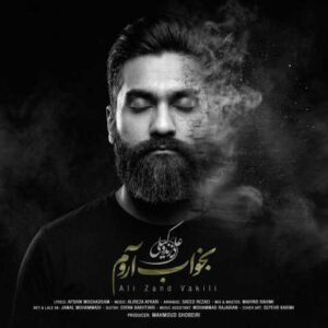 دانلود آهنگ علی زندوکیلی بخواب آروم