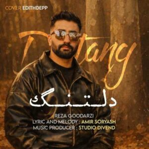 دانلود آهنگ رضا گودرزی دلتنگ