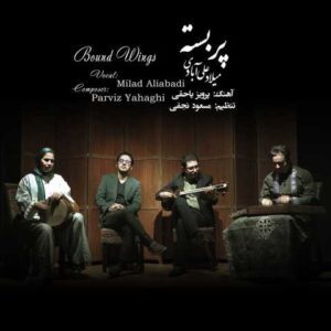 دانلود آهنگ میلاد علی آبادی پر بسته