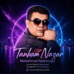 دانلود آهنگ محمد فرهمند تنهام نذار