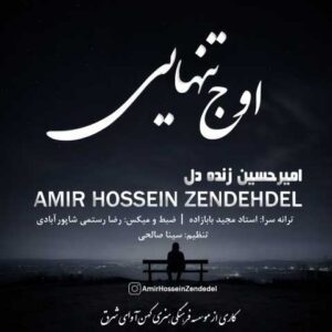 دانلود آهنگ امیرحسین زنده دل اوج تنهایی