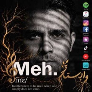دانلود آهنگ مه دی یوسفی ریشه در وابستگی