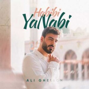 دانلود آهنگ علی قلیچ حبیبی یا نابی