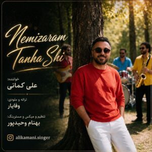 دانلود آهنگ علی کمانی نمیذارم تنهاشی