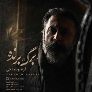دانلود آهنگ فرهود ملکی برگ برنده